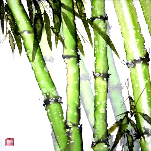 04_Bamboo_2011_Ryde_1st0