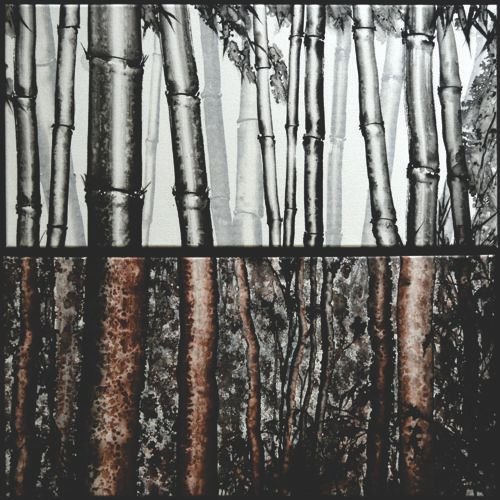 10_FromBambooToGumTrees_2014_SRACS_HC