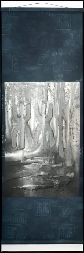 11_EucalyptForest_2015_SRACS_HC