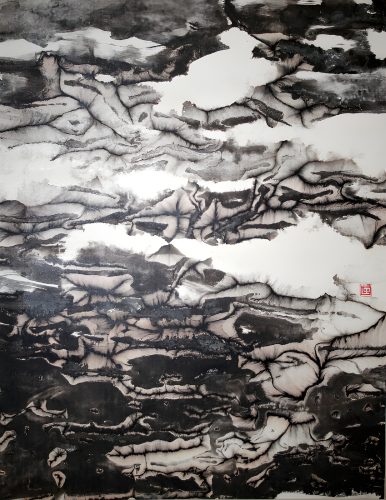 arial-landscape-in-black-and-white-a